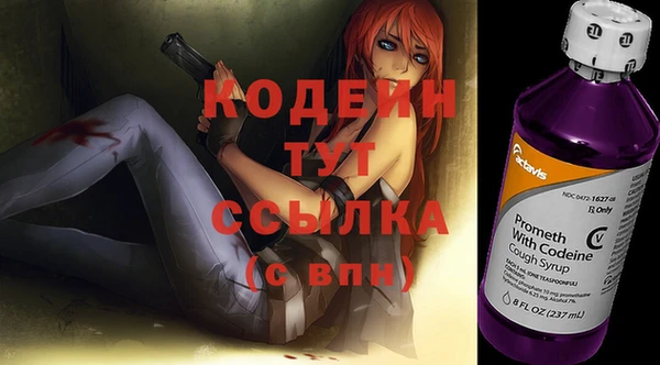 шишки Верхний Тагил