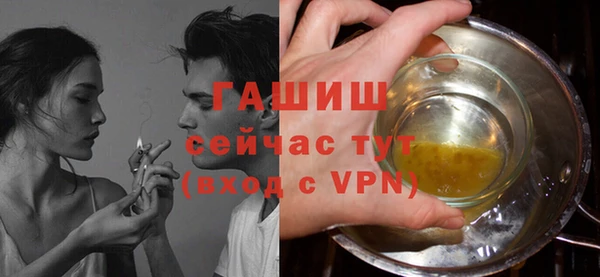 гидра Щигры