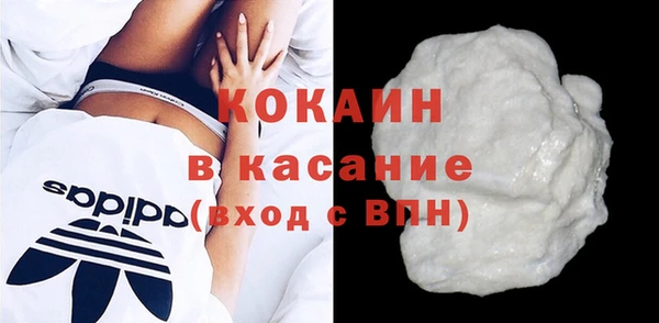 гидра Щигры