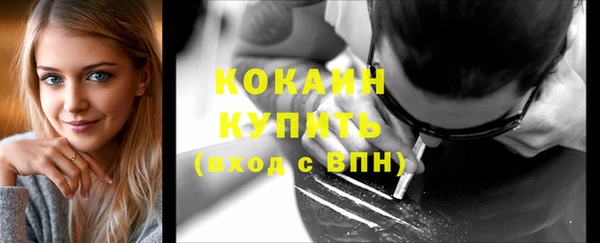 шишки Верхний Тагил