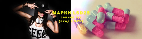 гидра Щигры