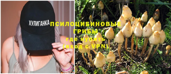 гидра Щигры