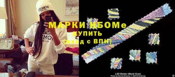 гидра Щигры