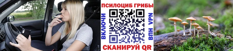 Псилоцибиновые грибы Psilocybine cubensis  Купить закладки  Кировград 