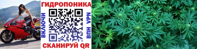 Купить закладки  Кировград  Шишки марихуана OG Kush 
